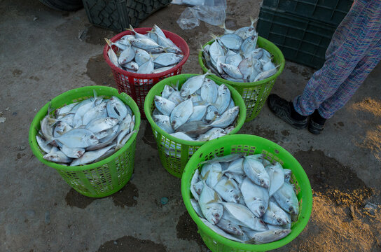 basra, iraq - June 11, 2021: photo of the  traditioal fish market in basra city