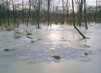 凍結した釧路湿原（北海道・鶴居村）
