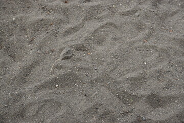 砂・砂地・砂場・砂浜・アップ・サラサラ・足元