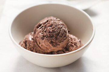 Chocolate ice cream in bowl 