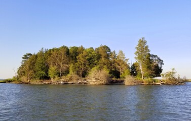 Fototapeta premium A protected island and wildlife reserve near Delaware Bay, Long Neck, U.S.A