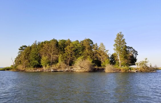 A protected island and wildlife reserve near Delaware Bay, Long Neck, U.S.A