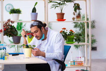 Fototapeta premium Young male chemist perfumer working in the lab