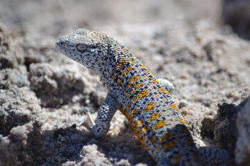 tomando sol