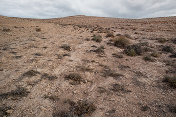Typical landscape of the Negev Desert. - obrazy, fototapety, plakaty
