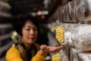 woman travel and visit mushroom farm