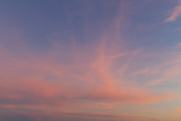 Pink clouds on sunrise sky.