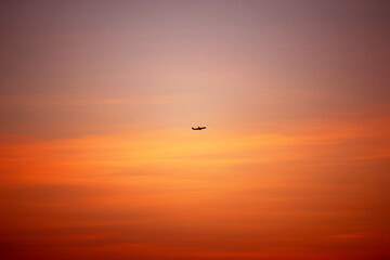 Naklejka na ściany i meble Flying plane in the evening