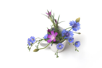 Closeup of wild flowers bouquet in a white pot on white background