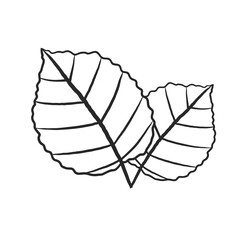 two leaves icon