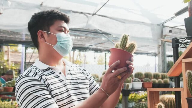 A masked asian man picks up a potted cactus and examines it in bright sunlight inside a greenhouse hothouse garden center.