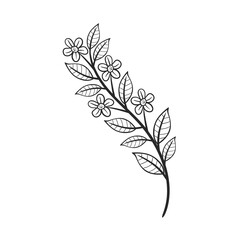 branch with flowers and leaves