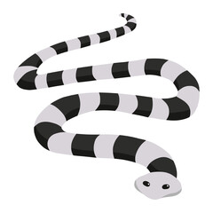 Obraz premium sea snake of sea animal illustration