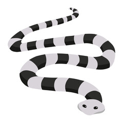 sea snake of sea animal illustration