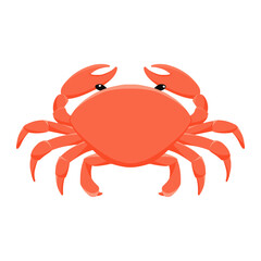 crab of sea animal illustration