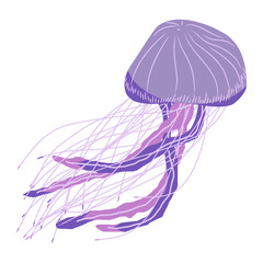 jellyfish of sea animal illustration