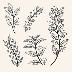 leaves and flowers icon set