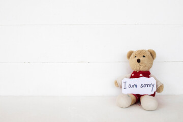i am sorry message card handwriting with teddy bear arrangement flat lay postcard style on...
