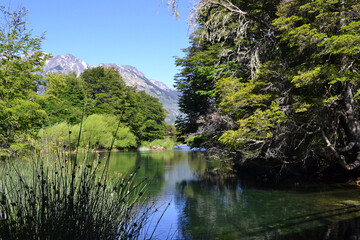 Fototapeta na wymiar Green lake in the woods with mountain vista and lush vegetation on sunny summer day.