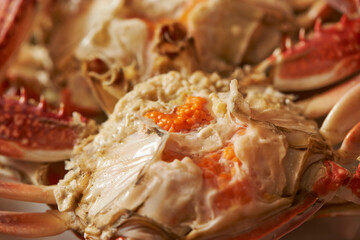 boiled crab on a plate 