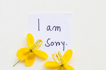 i am sorry message card handwriting with yellow flowers arrangement flat lay postcard style on background white