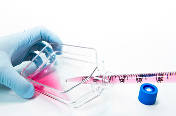 Scientist subculture mammalian cells in flask dish by pipetting for cell proliferation
