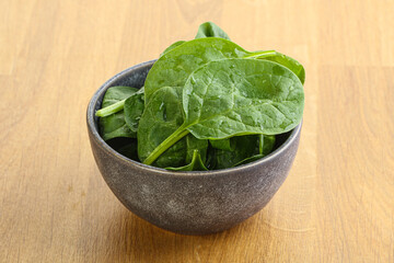 Fresh green spinach leaves in the bowl