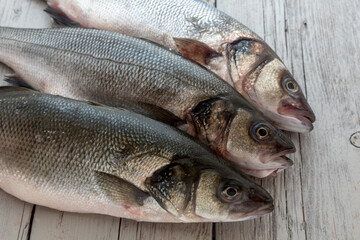 Sea bass with white background