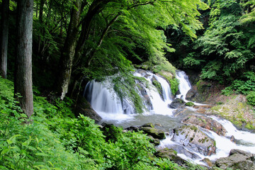 江竜田の滝（福島県・鮫川村）