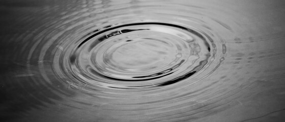 single raindrop makes ripples in water