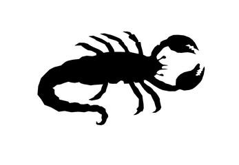Scorpion silhouette.