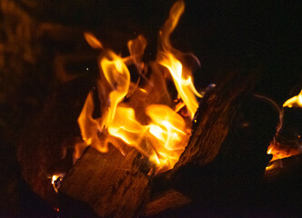 Fototapeta premium fire pit in the gold coast hinterland 