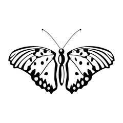 Butterfly line icon. black and white. animal icon, insect icon. for logo, mascot, emblem and symbol