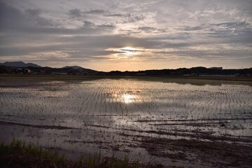 田園地帯に広がる梅雨の夕暮れ