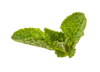 Mint leaf isolated on white background