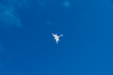 Colorful Kites flying over the sky