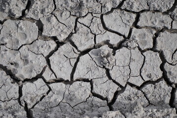 cracked earth texture