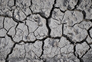 cracked earth texture