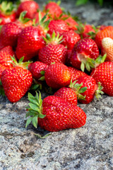 Freshly picked red ripe strawberries. Background. Close up. Selective focus.