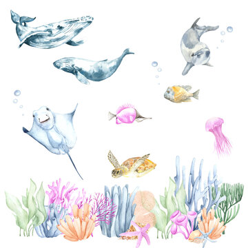 Watercolor illustration of the underwater world. Perfect for printing, web, textile design, various souvenir products.
