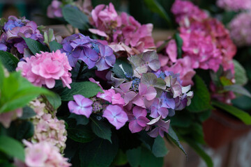 Floral arrangement with lilac hydrangea. 