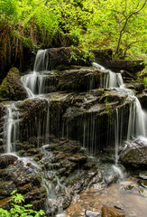 Photography of waterfall in forest