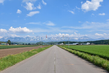 十勝岳連峰と一本の道