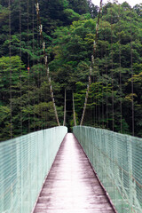 吊り橋04