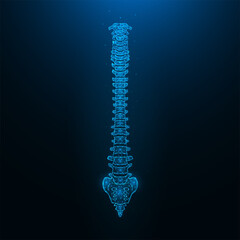 Polygonal vector illustration of a healthy human spine. Spine anatomy.