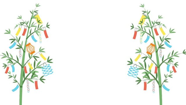 七夕　笹　2本