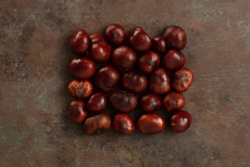 Ripe chestnuts on dark rustic background, close up. Raw Chestnuts for Christmas. Fresh sweet chestnuts lined in a rectangular shape.  Food background.