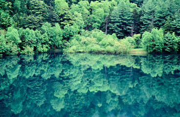 群馬県片品村の山あいのちいさな湖。水面はいつも鏡面のように静まりかえっている。