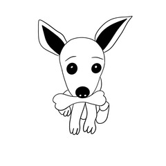 Small puppy that holds a bone in its mouth