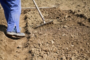 A farmer cultivates shoveled soil before planting in the spring in a traditional village